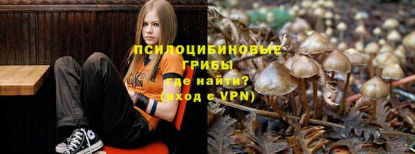 СК Алзамай